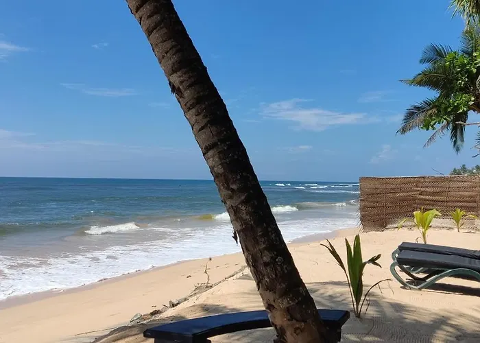 Haus am Meer Wilde Ananas