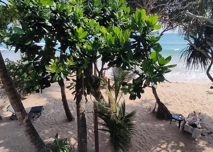 Haus am Meer Wilde Ananas
